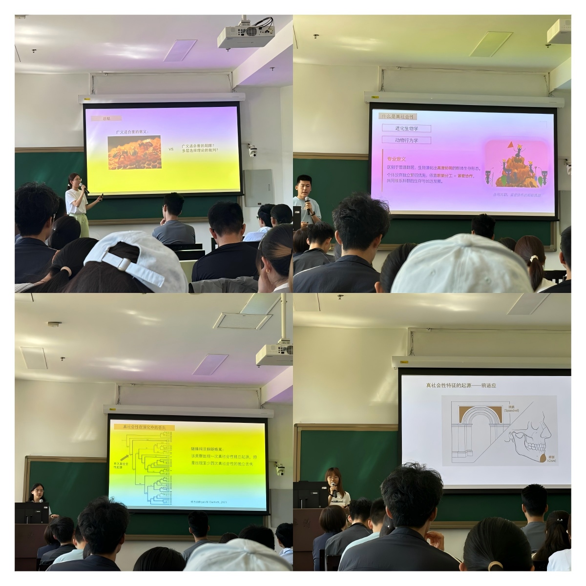 小组成员汇报